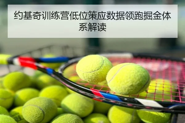约基奇训练营低位策应数据领跑掘金体系解读